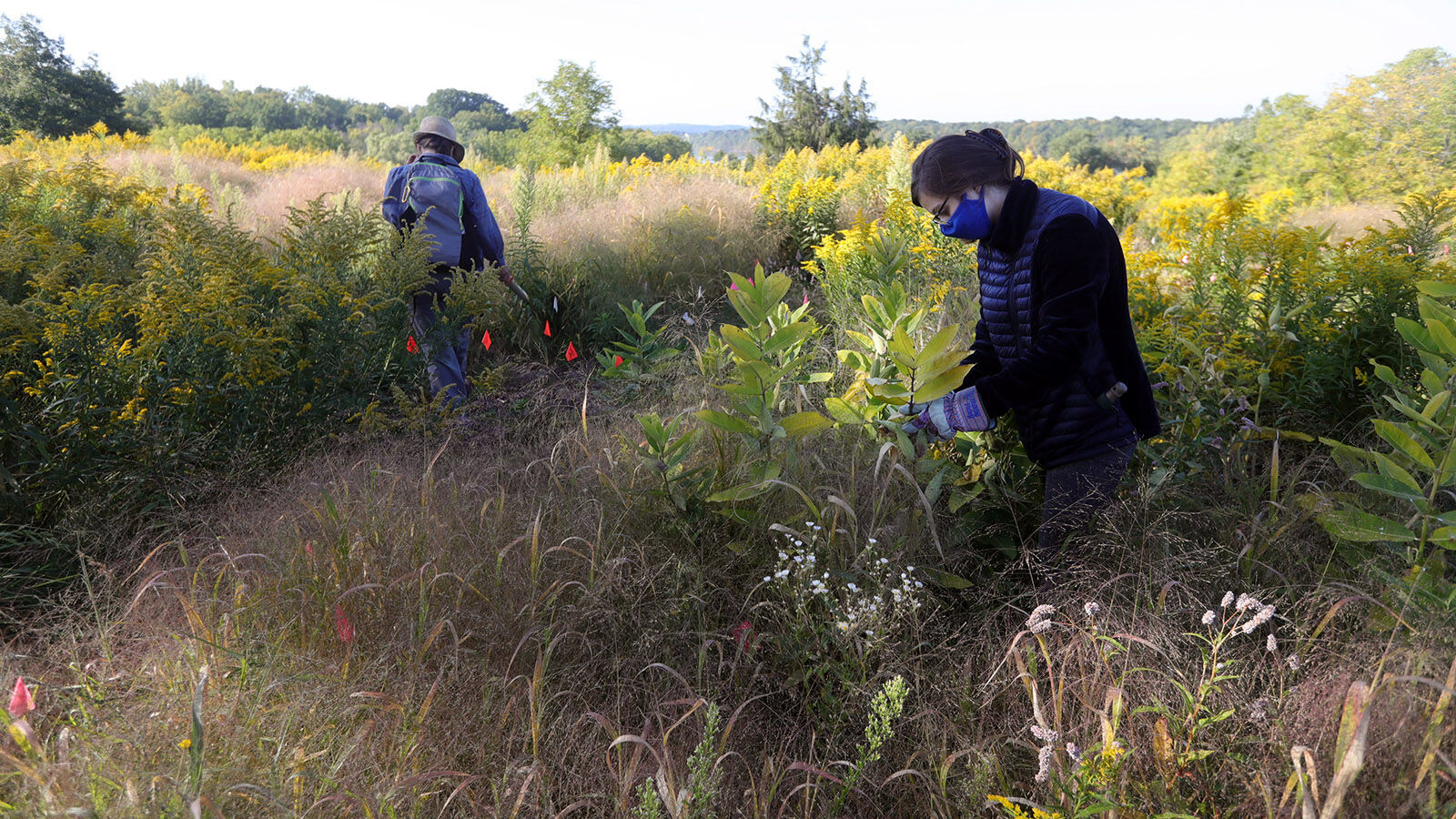 Western New York Land Conservancy